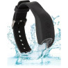 Calexotics - Accessoire De Télécommande De Bracelet